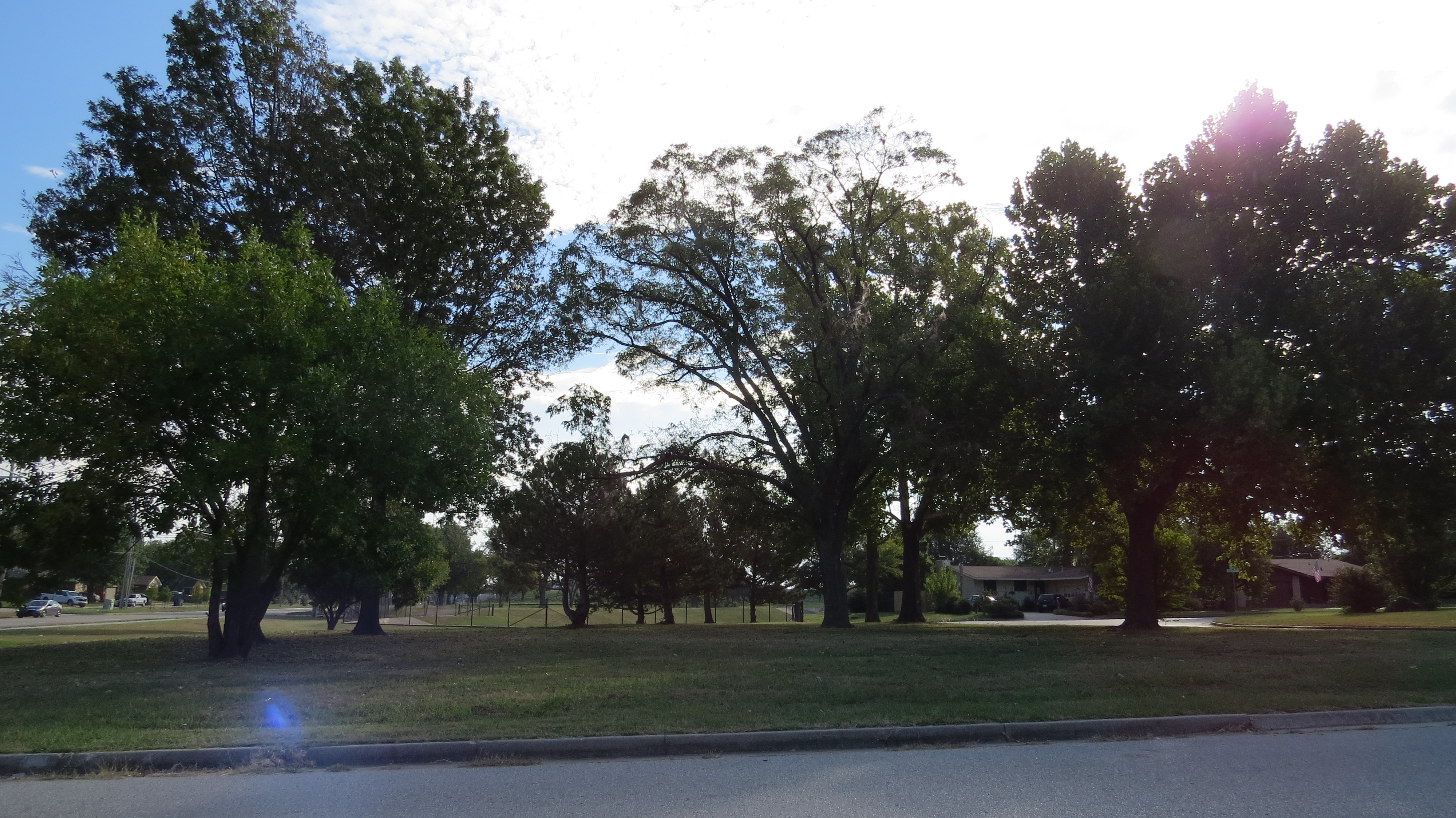 Image from Williams Park taken on Thursday 16th of October 2025